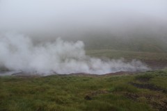IMG_2328