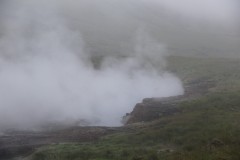 IMG_2329