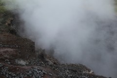 IMG_2330