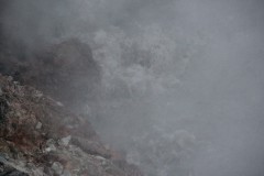 IMG_2331