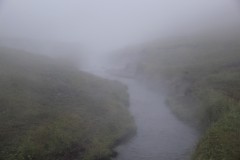 IMG_2340