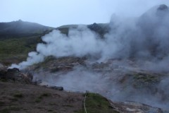 IMG_2341