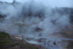 IMG_2342