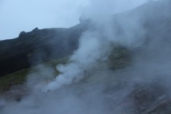 IMG_2343