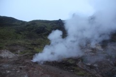 IMG_2347
