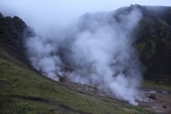 IMG_2348