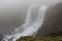 IMG_2357