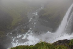 IMG_2361