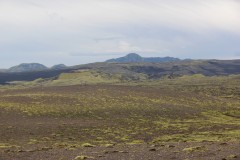 IMG_2364