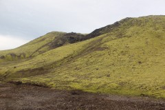 IMG_2371
