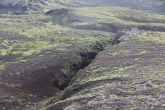 IMG_2385