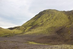 IMG_2401