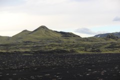IMG_2416