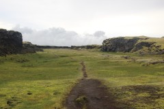 IMG_2431
