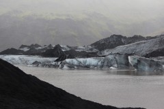 IMG_2460