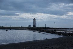 IMG_2479