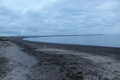 IMG_2480