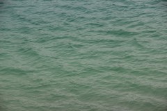 IMG_2519