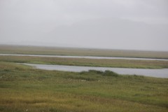 IMG_2534