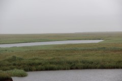 IMG_2536