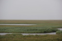 IMG_2537