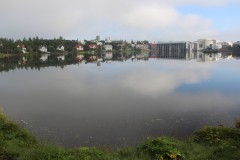 IMG_2547