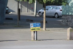 IMG_2559