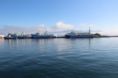 IMG_2571