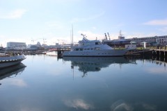 IMG_2582