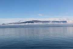 IMG_2594
