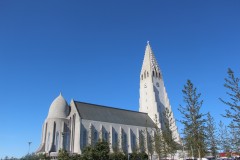 IMG_2601