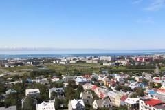 IMG_2610
