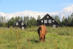 IMG_2641