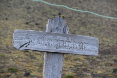 IMG_2684