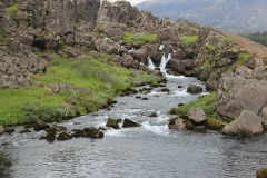 IMG_2746