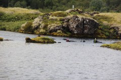 IMG_2766