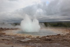 IMG_2782