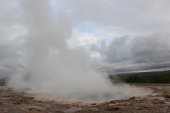 IMG_2785