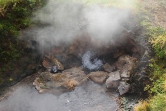 IMG_2793
