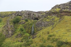 IMG_2882