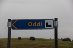 IMG_2909