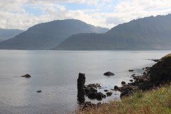 IMG_2964
