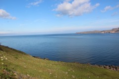 IMG_2966