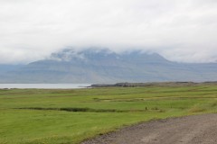 IMG_3009