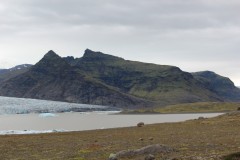 IMG_3139