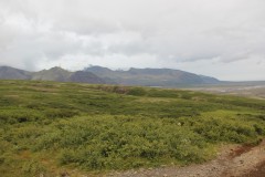 IMG_3191