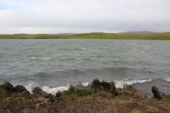 IMG_3310