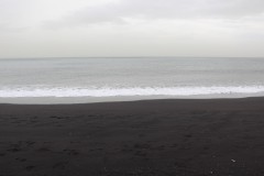 IMG_3346