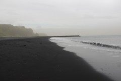 IMG_3347