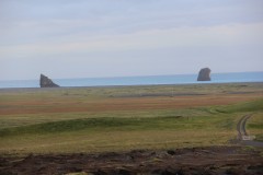 IMG_3391